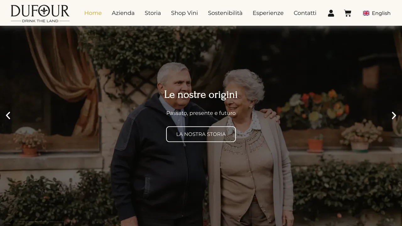 Vini Dufour home page